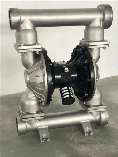 GMB 3 İNÇ SS316 Kimyasal Transfer Pompaları